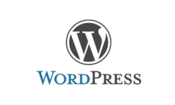 WordPressによるWEBサイト開発5 - 投稿タイプ・フィールド・タクソノミの追加