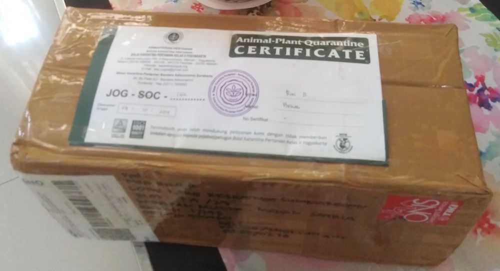 インドネシアのオンラインで植物を買う
