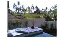 インドネシアのバリ島でプール付き一軒家を売却するまで