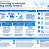 Infographic structuring returns processing and Tukar Guling patterns in Indonesia