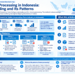 Infographic structuring returns processing and Tukar Guling patterns in Indonesia