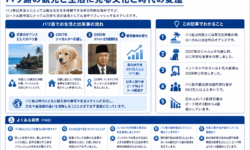バリ島の観光と生活に見る文化と時代の変遷