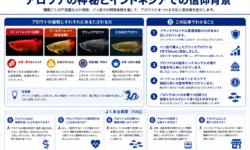 アロワナの神秘とインドネシアでの信仰背景