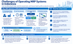 Challenges and Solutions for Operating MRP Systems in Indonesia