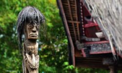 UCC上島コーヒーで有名なインドネシアのマンデリン・リントンのコーヒー