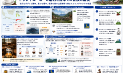 トラジャコーヒーの魅力と日本での普及の歴史
