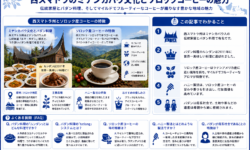西スマトラのミナンカバウ文化とソロックコーヒーの魅力