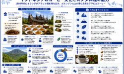 インドネシアのコーヒー文化とスンダ料理の魅力