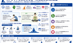 ストレッチとヨガの心身への効果と現代的意義