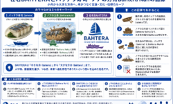 社名BAHTERAとバッテラ寿司・ノアの方舟Bahtera Nuhの語源
