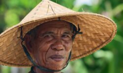 インドネシア語は世界で一番習得しやすい言語と言われる理由