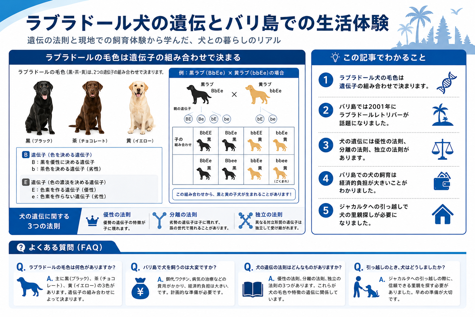 ラブラドール犬の遺伝とバリ島での生活体験を構造化した図解