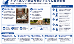 インドネシアの猫文化とイスラム教の影響