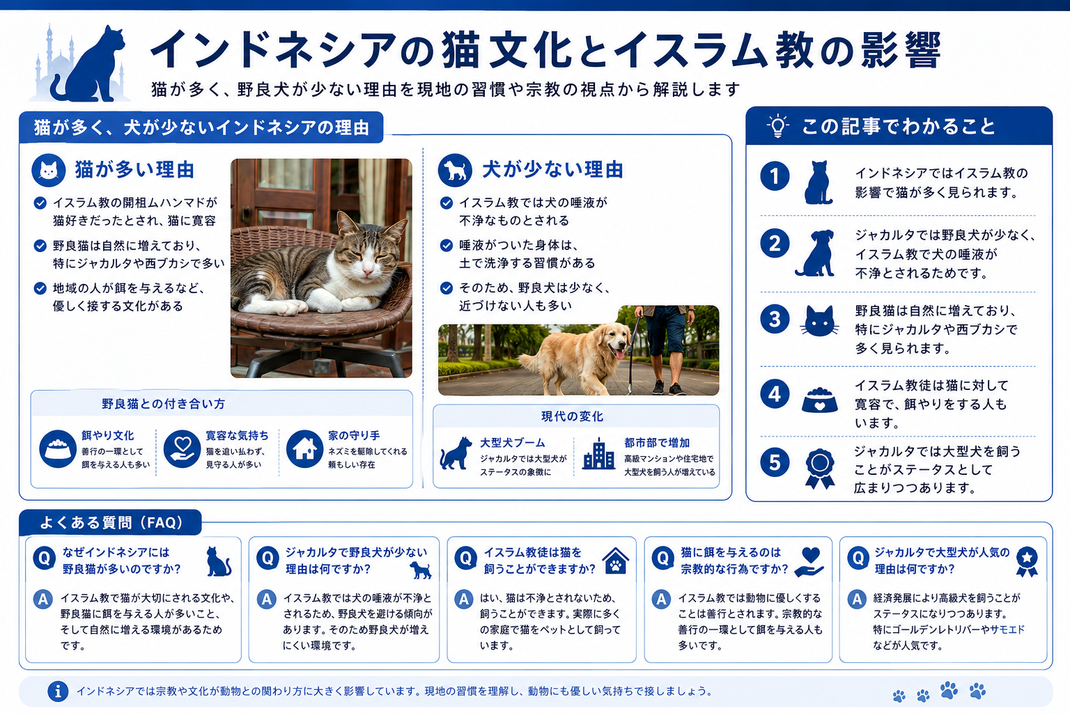 インドネシアの猫文化とイスラム教の影響を示す関係図解