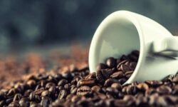 コーヒー大国インドネシアでコーヒーは一日何杯まで飲んでいいのか？