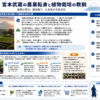 宮本武蔵の農業転身と植物栽培の教訓を構造化した図解