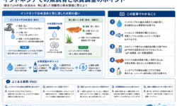 インドネシアでの魚飼育と水質調整のポイント