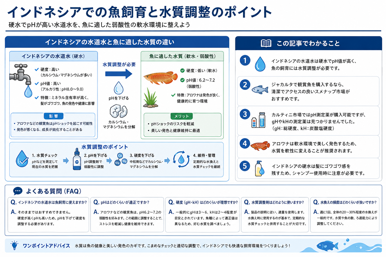 インドネシアでの魚飼育における水質調整のポイントを構造化した図解