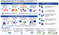 睡眠の質と活性酸素の関係｜疲労回復の鍵