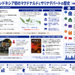 インドネシア初のマクドナルドとサリナデパートの歴史を構造化した図解