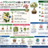Adenium