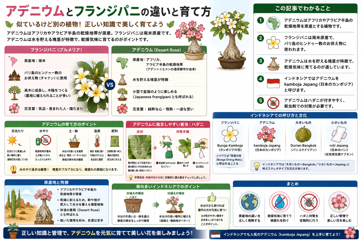 アデニウムとフランジパニの違いと育て方を構造化した図解