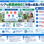 インドネシアの観葉植物EC市場の成長と可能性を示す構造化した図解