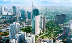 インドネシアで多能工化する日本人のビジネス上の役割の変化