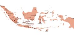 連想記憶によるインドネシアの歴史の覚え方【道路や建造物の名前を時間軸上に置いて背景を繋ぐ】