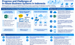 Progress and Challenges of In-house Business Systems in Indonesia