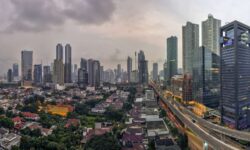 インドネシアからSNSを通じて在留邦人の声が日本の政治家に届く時代
