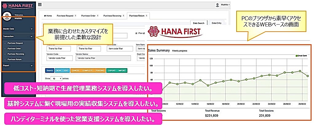 HanaFirstによるインドネシアでの業務改善とDX推進
