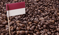 インドネシアのコーヒー