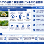 インドネシアの観葉植物の人気品種や育て方、ビジネス動向を示す構造化した図解