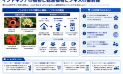 インドネシアの観葉植物まとめ｜人気品種・育て方・ビジネス最前線まで