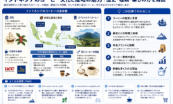 インドネシアのコーヒー文化と産地別スペシャルティ豆の魅力とは？