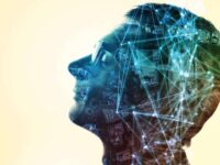 インドネシア関連知識を有機的に結びつける連想記憶法