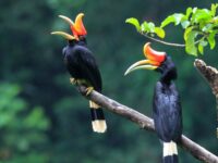 ビジネスの現場で考えたインドネシア理解の本質 | 国家・社会・個人から構造的に考える