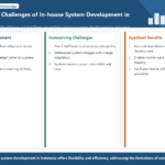 Infographic structuring the development and hurdles of in-house business systems in Indonesia.